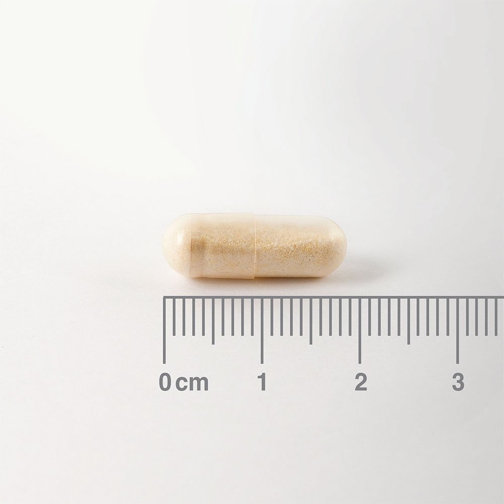 LAMBERTS - Digestizyme - 100caps