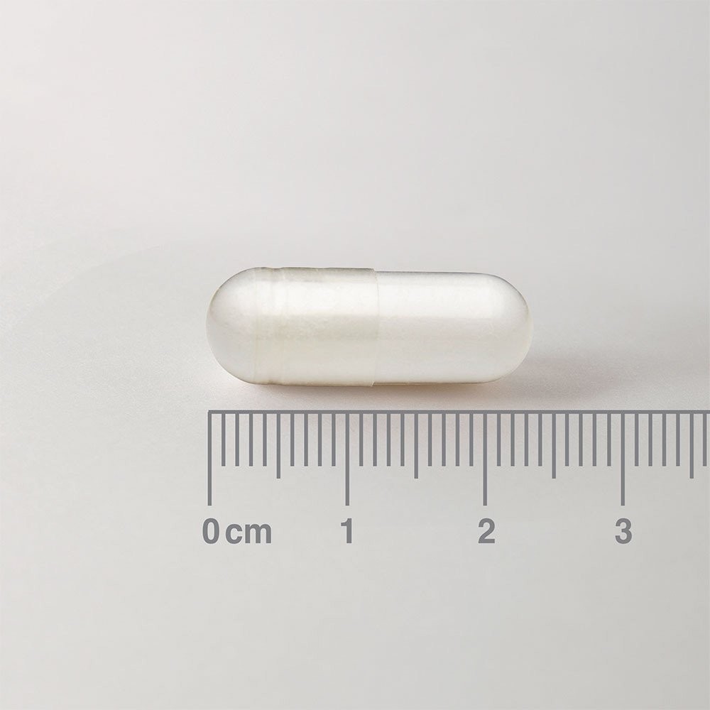 LAMBERTS - L-Phenylalanine 500mg - 60caps