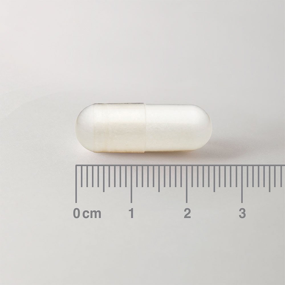 LAMBERTS - L-Methionine 500mg - 60caps