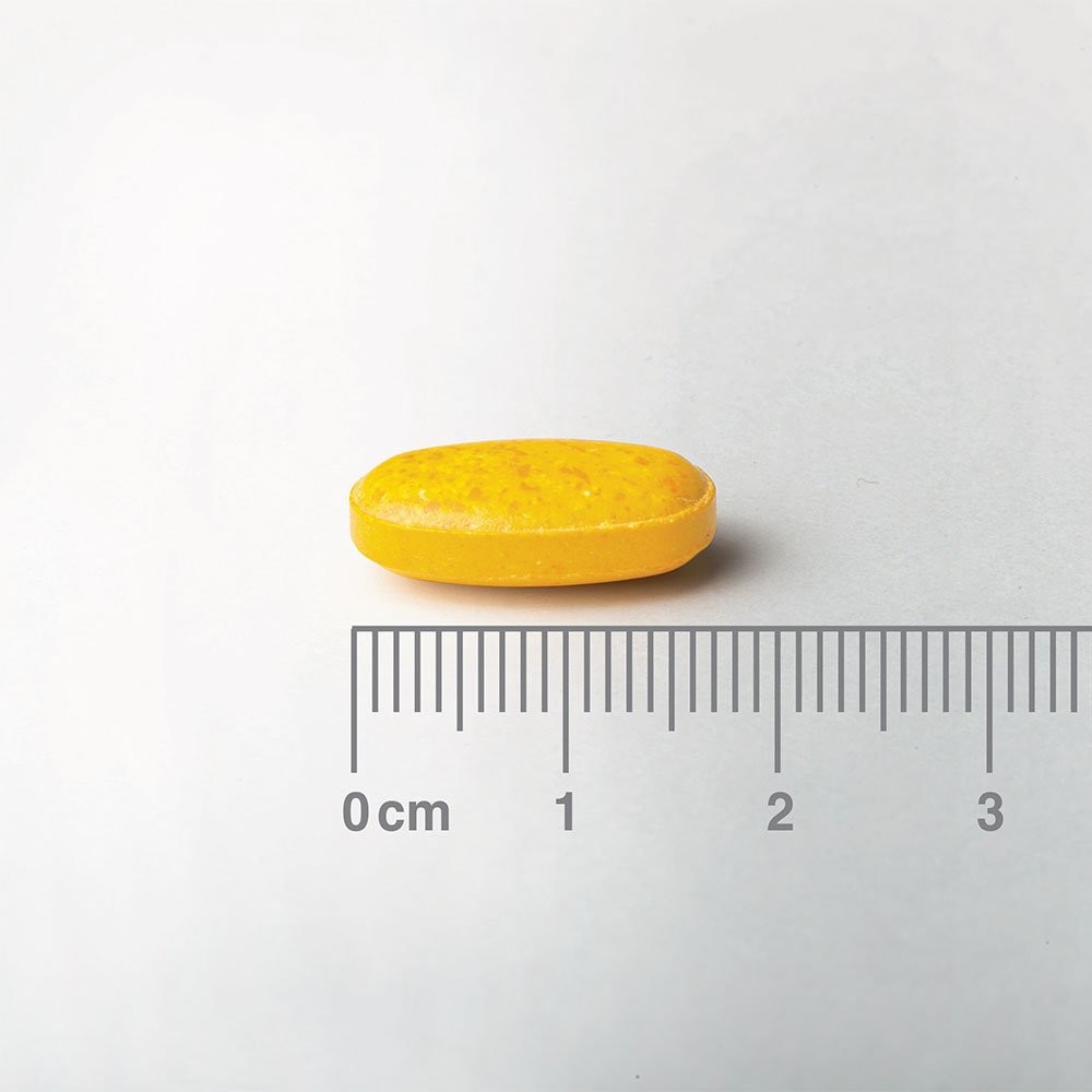 LAMBERTS - Turmeric Fast Release - 120tabs