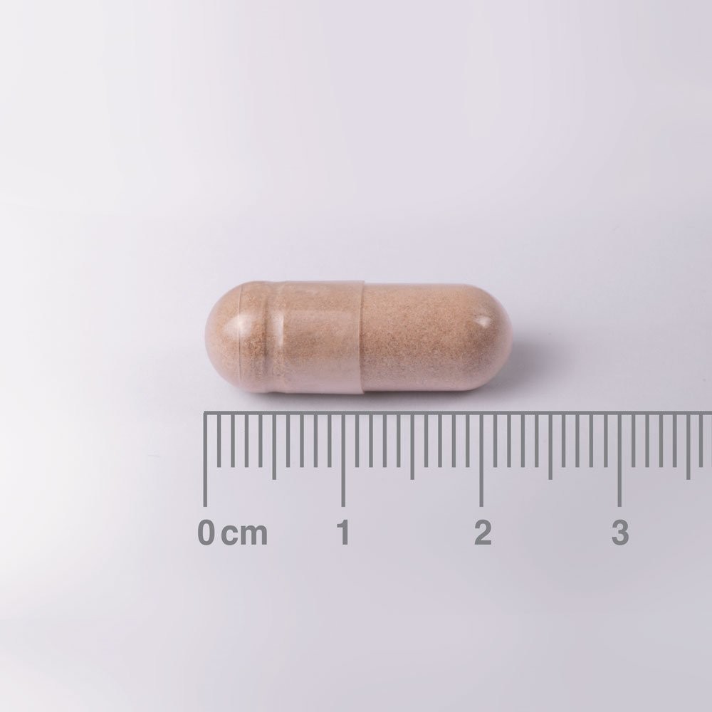 LAMBERTS - L-Theanine & Lemon Balm Complex - 60caps