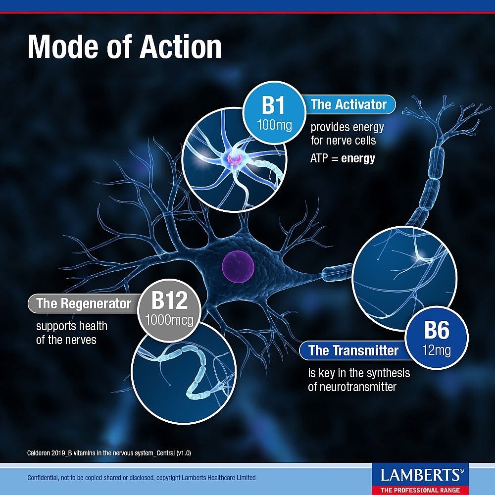 LAMBERTS - Neuro-Guard (B1, B6 & B12) - 60tabs