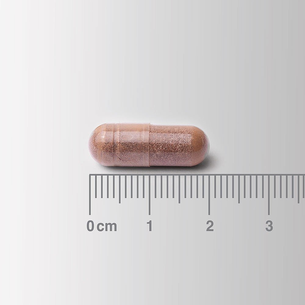 LAMBERTS - Cogni-Focus 30caps