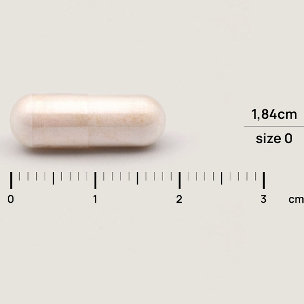 OLONEA - BACTEFLORA Travel - 14caps