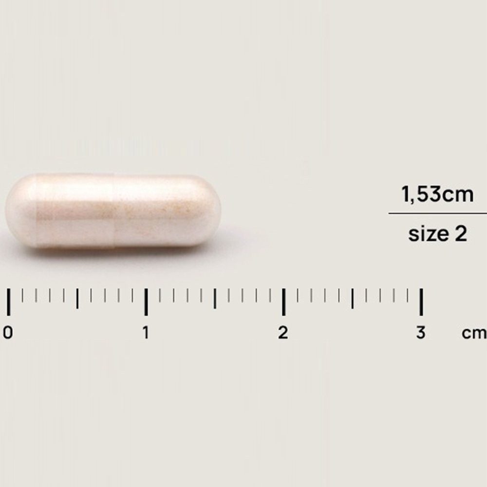 OLONEA - BACTEFLORA Antibio - 10caps