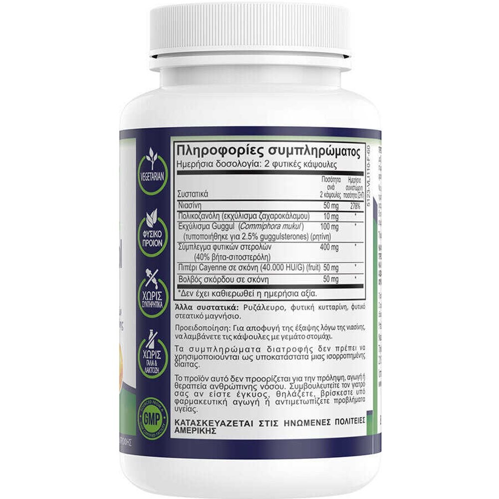 NATURAL VITAMINS - Cholesterol Formula - 60caps