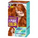 7.7 Ginger Temptation 7.7 Ginger Temptation