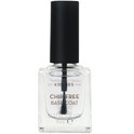 Base Coat Base Coat