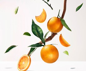 Bois d' Orange