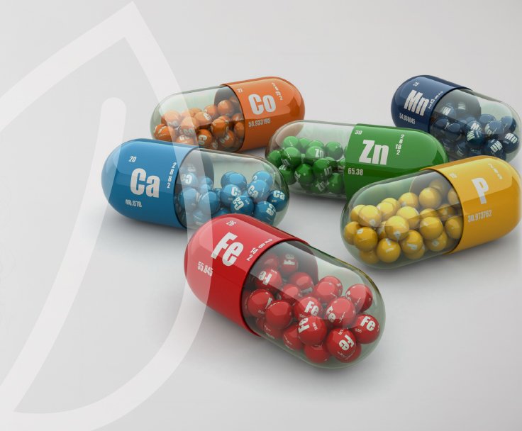 Power of Nature &Mu;έ&tau;&alpha;&lambda;&lambda;&alpha; &Iota;&chi;&nu;&omicron;&sigma;&tau;&omicron;&iota;&chi;&epsilon;ί&alpha;-&Gamma;&iota;&alpha; &tau;&eta;&nu; &epsilon;&nu;&delta;&upsilon;&nu;ά&mu;&omega;&sigma;&eta; &tau;&omicron;&upsilon;&nbsp;&omicron;&rho;&gamma;&alpha;&nu;&iota;&sigma;&mu;&omicron;ύ&nbsp;&sigma;&omicron;&upsilon;.