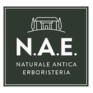 N.A.E.