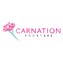 Carnation