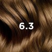Phyto Permanent Hair Color Kit 1 Τεμάχιο - 6.3 Ξανθό Σκούρο Χρυσό