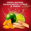 Old Spice Whitewater 3in1 Shower & Shampoo Gel 1L