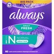 Always Daily Fresh Normal Odour Lock 60 Τεμάχια