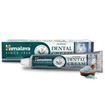 Himalaya Ayurvedic Dental Cream Salt Toothpaste 100gr