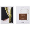 Korres Castanea Arcadia Antiwringle Firming Day Cream For Dry & Very Dry Skin 60ml Korres Castanea Arcadia Antiwringle Firming Day Cream For Dry & Very Dry Skin 60ml