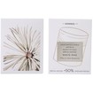 Korres White Pine Day Cream 60ml Korres White Pine Day Cream 60ml