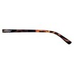 Zippo Eyewear Glasses Κωδ 31Z-B21-DEM Καφέ Ταρταρούγα 1 Τεμάχιο
