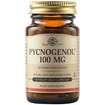 Solgar Pycnogenol Food Supplement - 100mg 30veg.caps Solgar Pycnogenol Food Supplement - 100mg 30veg.caps