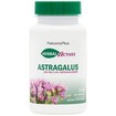 Natures Plus Astragalus 450mg 60caps Natures Plus Astragalus 450mg 60caps