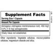 Natures Plus Astragalus 450mg 60caps Natures Plus Astragalus 450mg 60caps