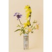 Embryolisse Eau De Beaute Rosamelis Lotion 200ml