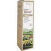 Vican Wise Land Βιταμίνη C, Βασιλικός Πολτός + 7 Βότανα σε Spray 75ml