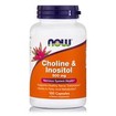 Now Foods Choline & Inositol 500mg Συμπλήρωμα Διατροφής για τον Σωστό Μεταβολισμό των Λιπών & της Χοληστερίνης 100 Caps