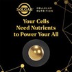 Solgar Cellular Energy 28veg.caps