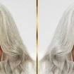 Pantene Hair Biology Grey & Glowing Shampoo 250ml