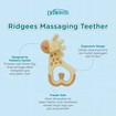 Dr Brown\'s Ridgees Girafe Massaging Teether 3m+, 1 Τεμάχιο, Κωδ TE450
