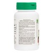 Nature\'s Plus Boswellin Συμπλήρωμα Ριτίνης με Αντιφλεγμονώδεις Ιδιότητες 60caps Nature\'s Plus Boswellin Συμπλήρωμα Ριτίνης με Αντιφλεγμονώδεις Ιδιότητες 60caps