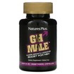Natures Plus GH Male Boost for Men Συμπλήρωμα Διατροφής για τη Φυσική Διέγερση της Ενδογενούς Αυξητικής Ορμόνης 60 Veg Caps
