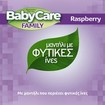 BabyCare Familly Raspberry Wipes Monthly Box 1080 Τεμάχια (12x90 Τεμάχια)