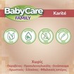 BabyCare Familly Karite Wipes Monthly Box 1080 Τεμάχια (12x90 Τεμάχια)