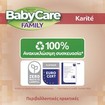 BabyCare Familly Karite Wipes Monthly Box 1080 Τεμάχια (12x90 Τεμάχια)