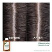 Klorane Galangal Rebalancing Shampoo 400ml