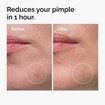 The Ordinary Sulfur 10% Powder-to-Cream Concentrate 5g The Ordinary Sulfur 10% Powder-to-Cream Concentrate 5g