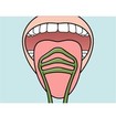 TePe Tongue Cleaner Πράσινο 1 Τεμάχιο, Κωδ 42096