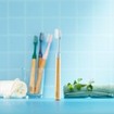 Tepe Choice Soft Toothbrush with Reusable Wooden Handle & Plant Based Brush Heads 1 Τεμάχιο - Μπλε
