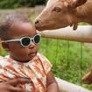 Kietla Kids Sunglasses Wazz 2-4 Years Κωδ WA3SUNMINT, 1 Τεμάχιο - Mint Kietla Kids Sunglasses Wazz 2-4 Years Κωδ WA3SUNMINT, 1 Τεμάχιο - Mint