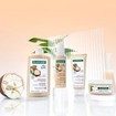 Klorane Repairing, Restorative & Anti Brekage Cica Shampoo 400ml Klorane Repairing, Restorative & Anti Brekage Cica Shampoo 400ml