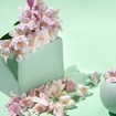 Jowae Tinted Moisturizing BB Face Cream 30ml - Light Jowae Tinted Moisturizing BB Face Cream 30ml - Light