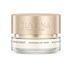 Juvena Skin Rejuvenate Nourishing Eye Cream Εντατική Θρεπτική Αντιρυτιδική Κρέμα Ματιών 15ml Juvena Skin Rejuvenate Nourishing Eye Cream Εντατική Θρεπτική Αντιρυτιδική Κρέμα Ματιών 15ml