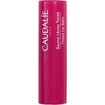 Caudalie Vinotherapist Tinted Lip Balm 4,5g