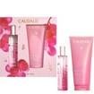Caudalie Promo Rose de Vigne Fresh Fragrance 50ml & Δώρο Shower Gel 200ml