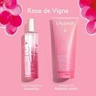 Caudalie Promo Rose de Vigne Fresh Fragrance 50ml & Δώρο Shower Gel 200ml