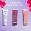 Caudalie Promo Vinotherapist 30ml & The Des Vignes 30ml & Rose de Vigne 30ml Hand & Nail Creams