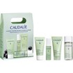 Caudalie Vinopure Promo Purifying Cleanser Gel 30ml & Toner 50ml & Blemish Control Salicylic Serum 10ml & Moisturizing Mattifying Fluid 15ml Caudalie Vinopure Promo Purifying Cleanser Gel 30ml & Toner 50ml & Blemish Control Salicylic Serum 10ml & Moisturizing Mattifying Fluid 15ml
